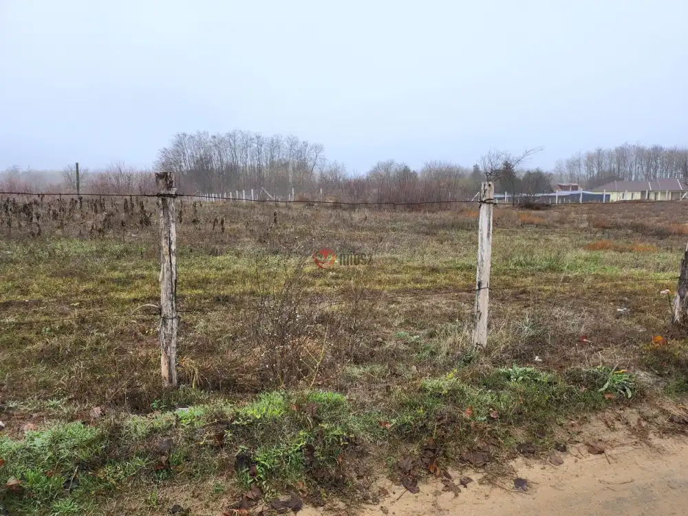 Pest megye - Dabasiszőlők