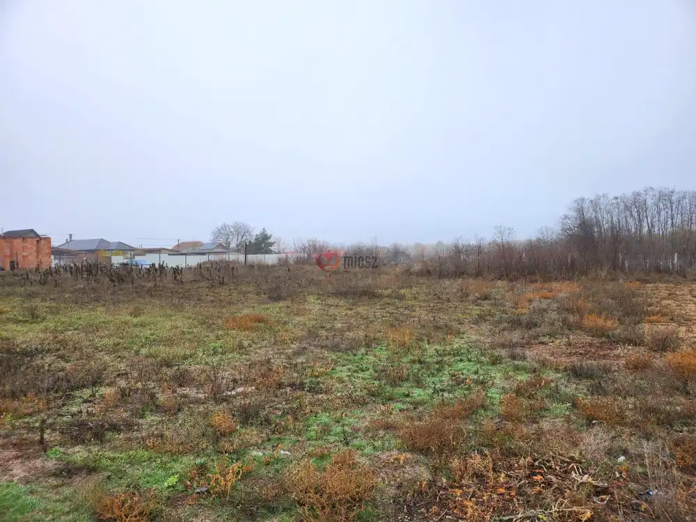 Pest megye - Dabasiszőlők